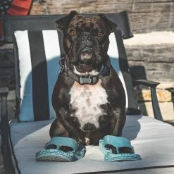 Deckers Lab Unisex KO-Z BA DA DA 25 Sandal - Blue-Regular (D) Shoes 19 Deckers Lab Unisex KO-Z BA DA DA 25 Sandal - Blue-Regular (D) Shoes