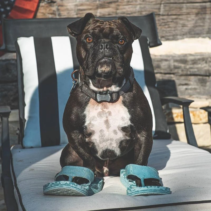 Deckers Lab Unisex KO-Z BA DA DA 25 Sandal - Blue-Regular (D) Shoes 10 Deckers Lab Unisex KO-Z BA DA DA 25 Sandal - Blue-Regular (D) Shoes