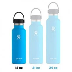 Hydro Flask 18 Oz Standard Mouth Flex - Snapper