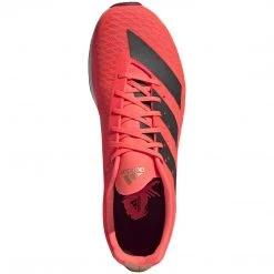 Adidas Women's Adizero XC Sprint Spike - Signal Pink/Core Black/TWR White- Regular (B) Shoes