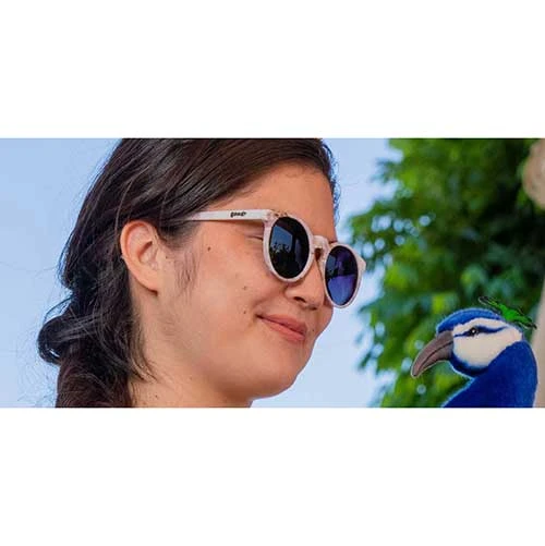 Goodr Accessories Hera’s Awkward Family Reunion Sunglasses 3 Goodr Accessories Hera’s Awkward Family Reunion Sunglasses