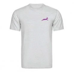 Gazelle Sports Unisex Downtown Grand Rapids Collage Triblend T-Shirt - Athletic Grey