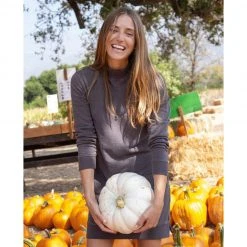 Toad And Co Women's Epiq Mock Neck Dress - Soot Dresses & Skirts