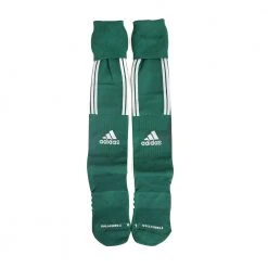Agron (Adidas) Youth Unisex ForMotion Elite Sock (Medium) - Forest/White