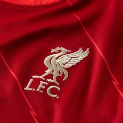 Nike Youth Liverpool FC 2021/22 Stadium Home Jersey - Gym Red/Bright Crimson 13 Nike Youth Liverpool FC 2021/22 Stadium Home Jersey - Gym Red/Bright Crimson