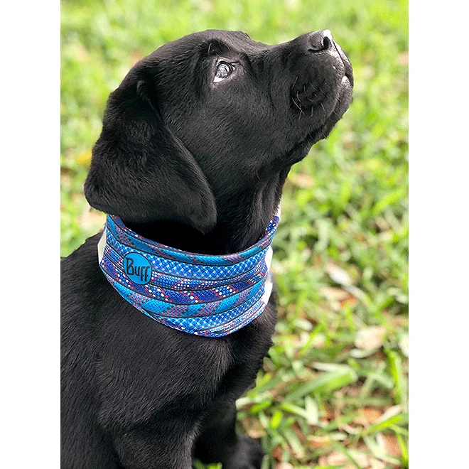 Buff Dog Insect Shield Neckwear - Bone Camo Green 2 Buff Dog Insect Shield Neckwear - Bone Camo Green