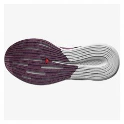 Salomon Women's Spectur Running Shoe - Tulipwood- Regular (B) 10 Salomon Women's Spectur Running Shoe - Tulipwood- Regular (B)